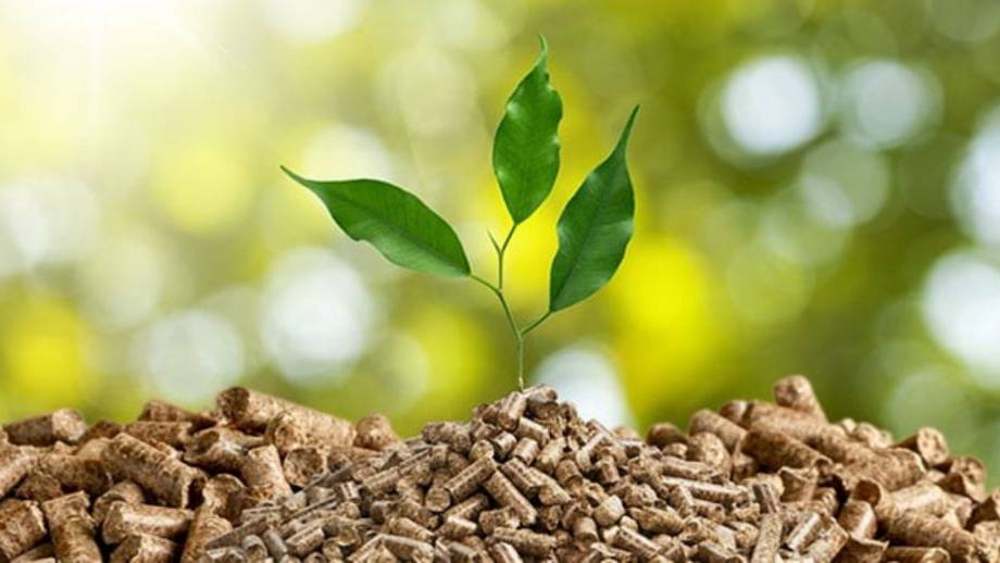 Incentivi per impianti a biomassa Regione Piemonte